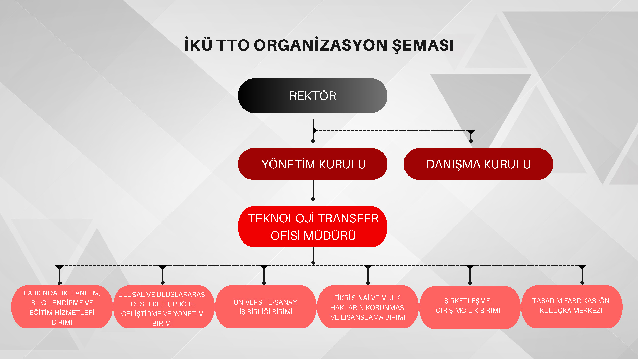 organizasyon şeması