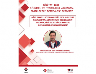 TÜBİTAK 1001